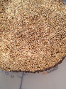 beerliever.com beerliever crushed grains home brewing