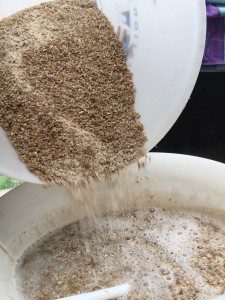 beerliever.com beerliever home brewing dough in